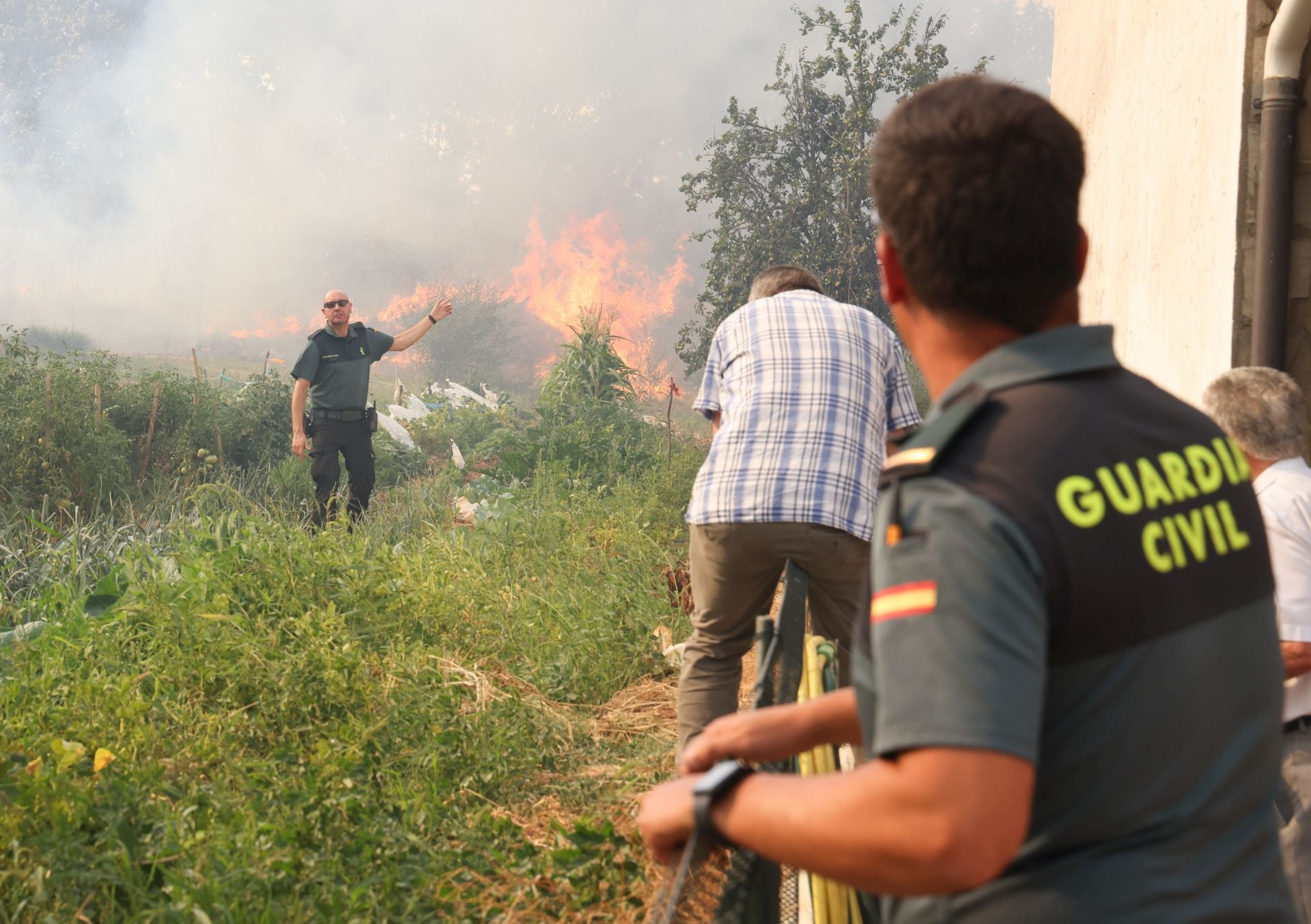 El incendio de Congosta, en imágenes