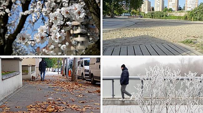 ¿Cuándo se producen el mayor número de incendios forestales?