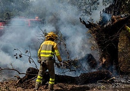 Incendio forestal entre Ciudad Rodrigo y Sancti Spíritus (Salamanca).