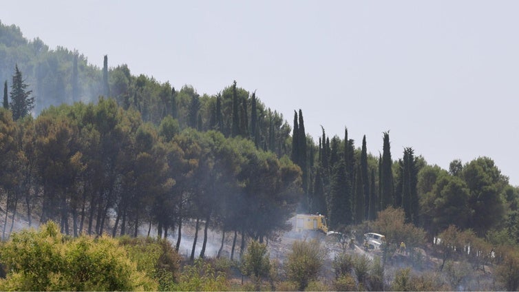 Incendio en el Cerro de San Cristóbal, en Valladolid.