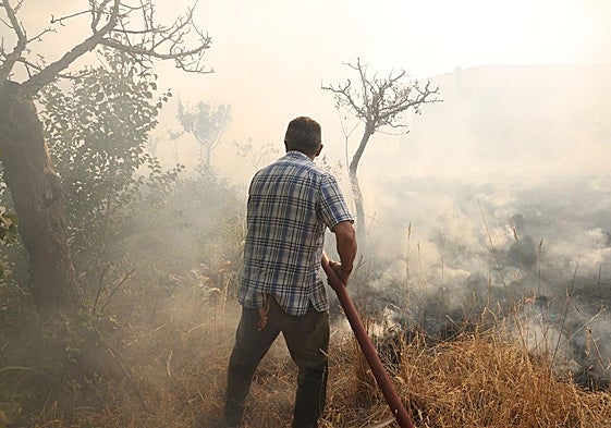 Trabajos para sofocar el incendio en Congosta de Vidriales, Zamora.