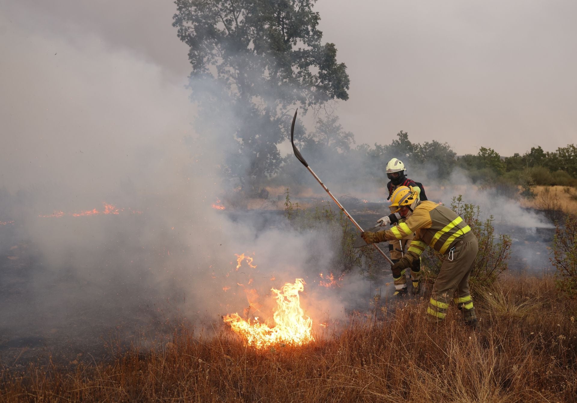 El incendio se descontrola hacia Abejera