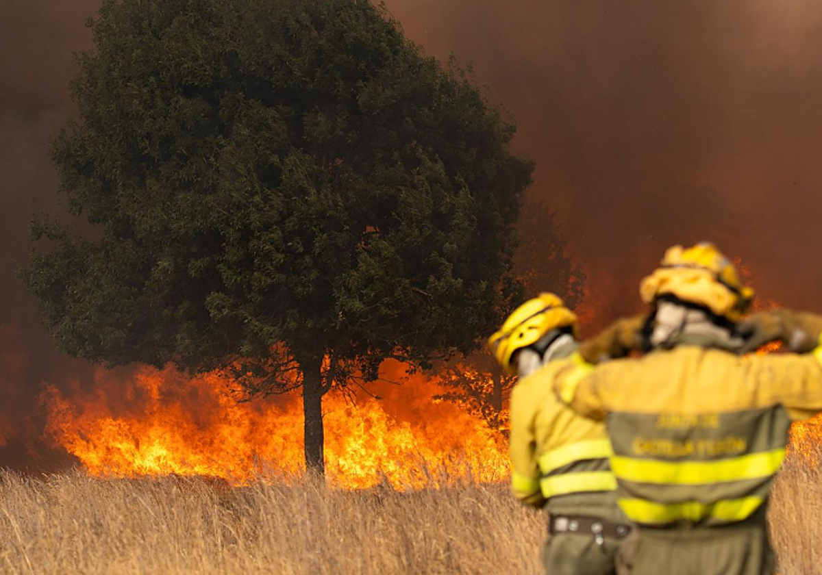 Así son los grandes incendios que calcinan León y El Bierzo