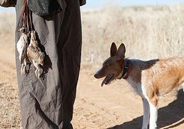 Un cazador, junto con su perro, sosteniendo varios animales cazados en la media veda.
