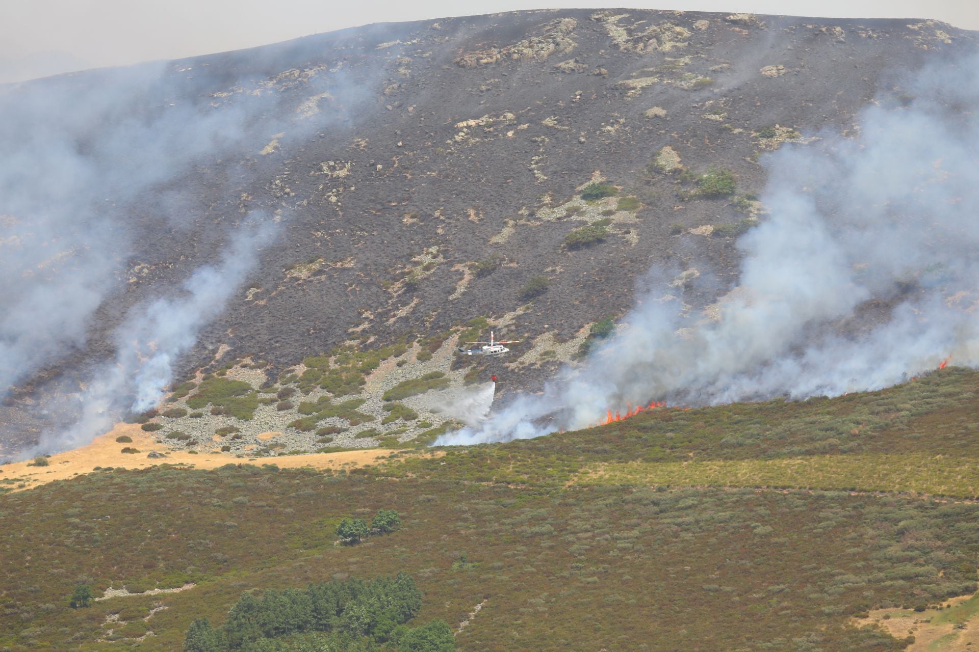 El fuego, de cerca en Peña Carazo, en la Montaña Palentina