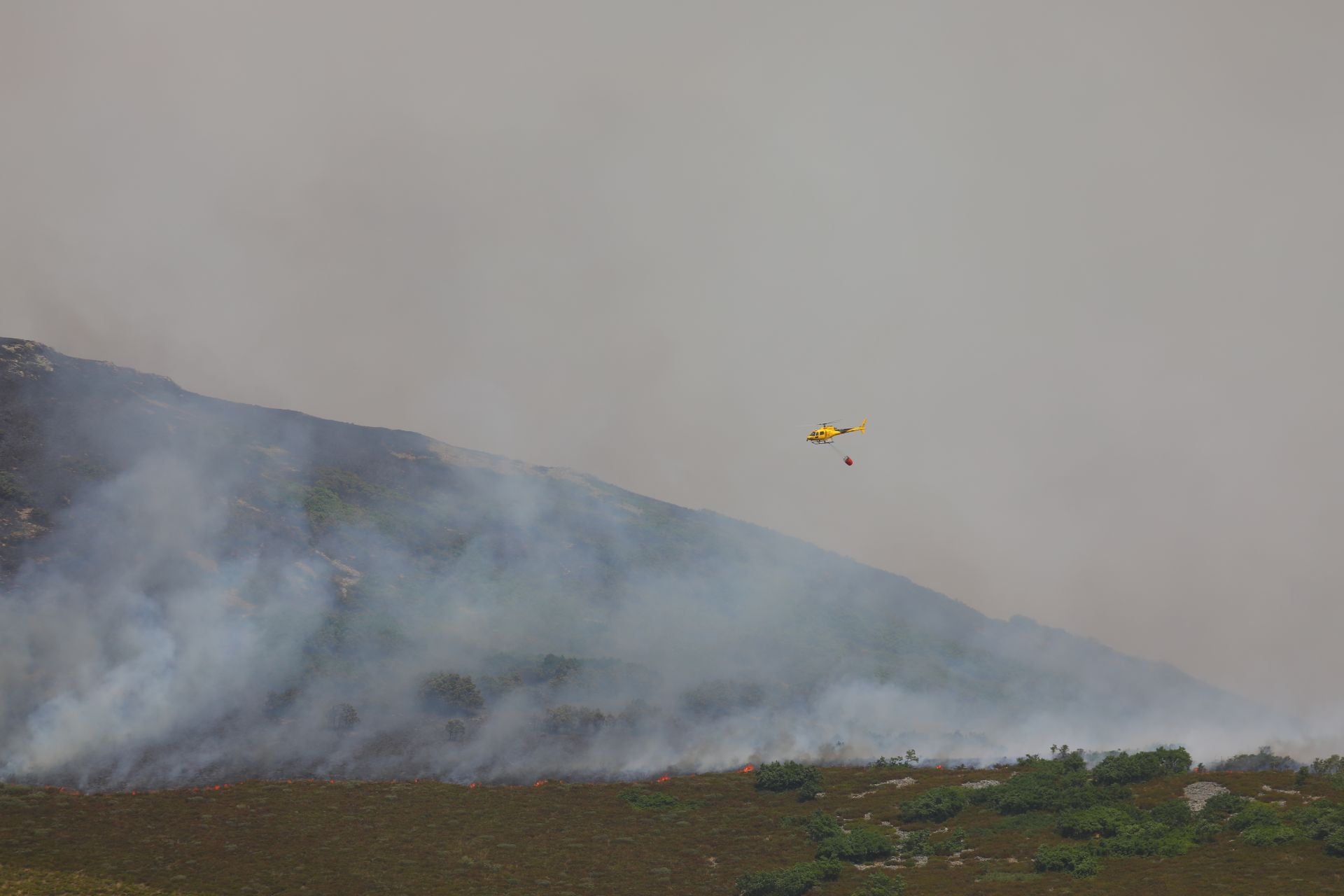 El fuego, de cerca en Peña Carazo, en la Montaña Palentina