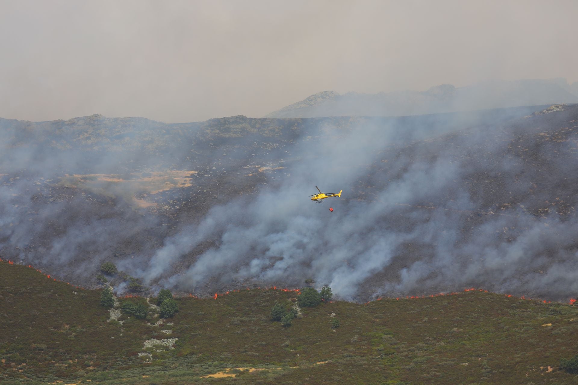 El fuego, de cerca en Peña Carazo, en la Montaña Palentina