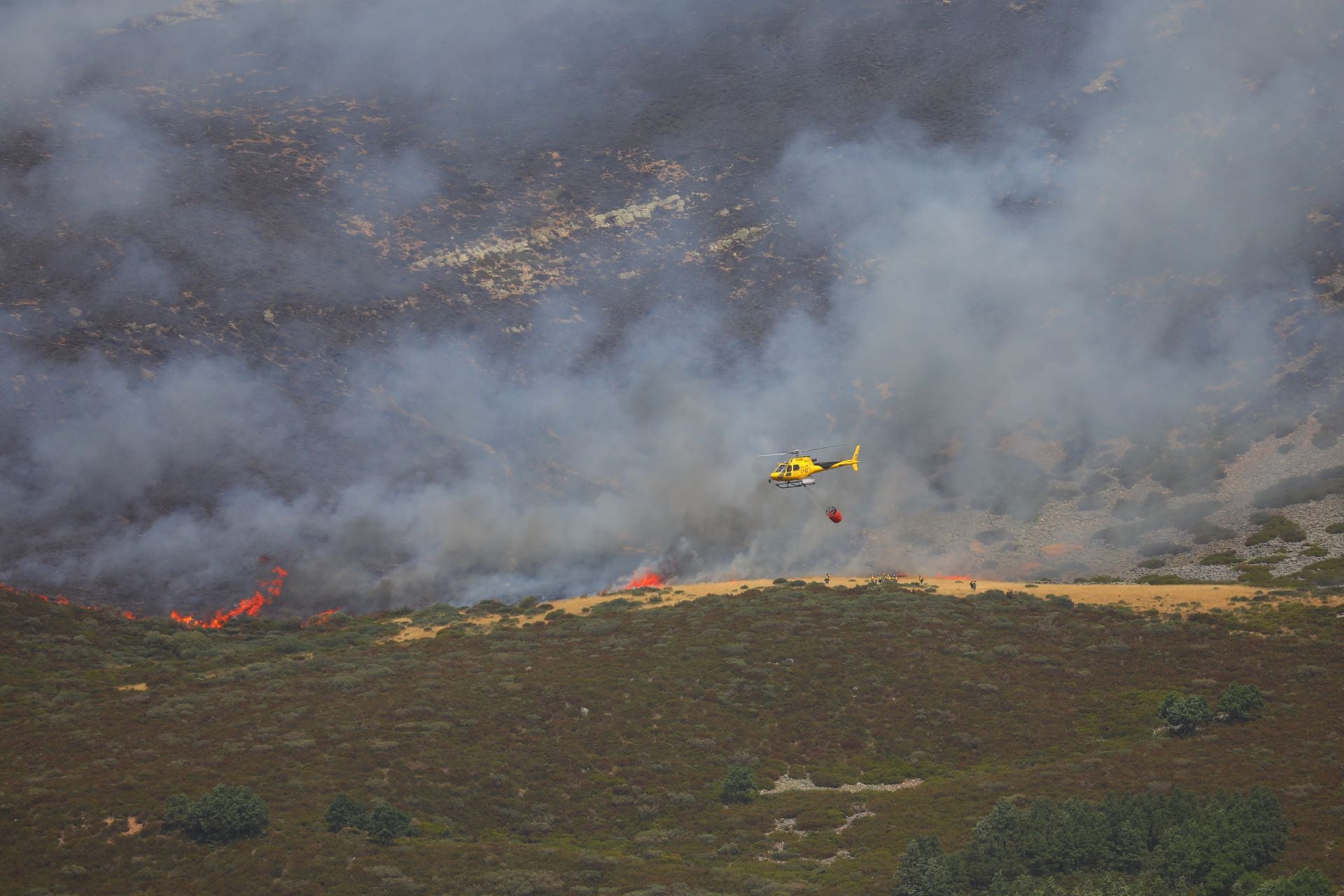 El fuego, de cerca en Peña Carazo, en la Montaña Palentina