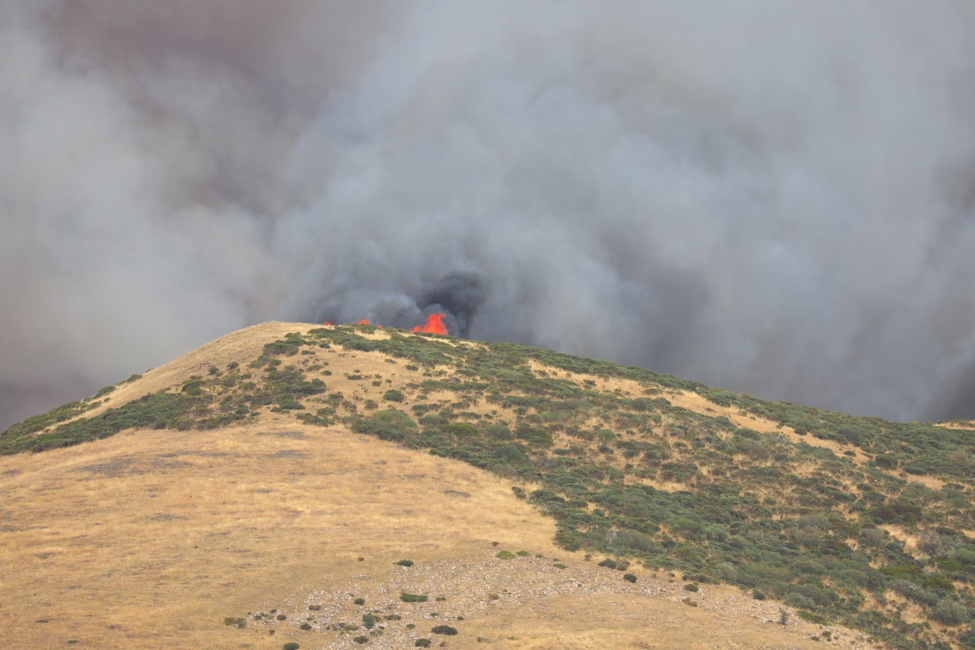 El fuego, de cerca en Peña Carazo, en la Montaña Palentina