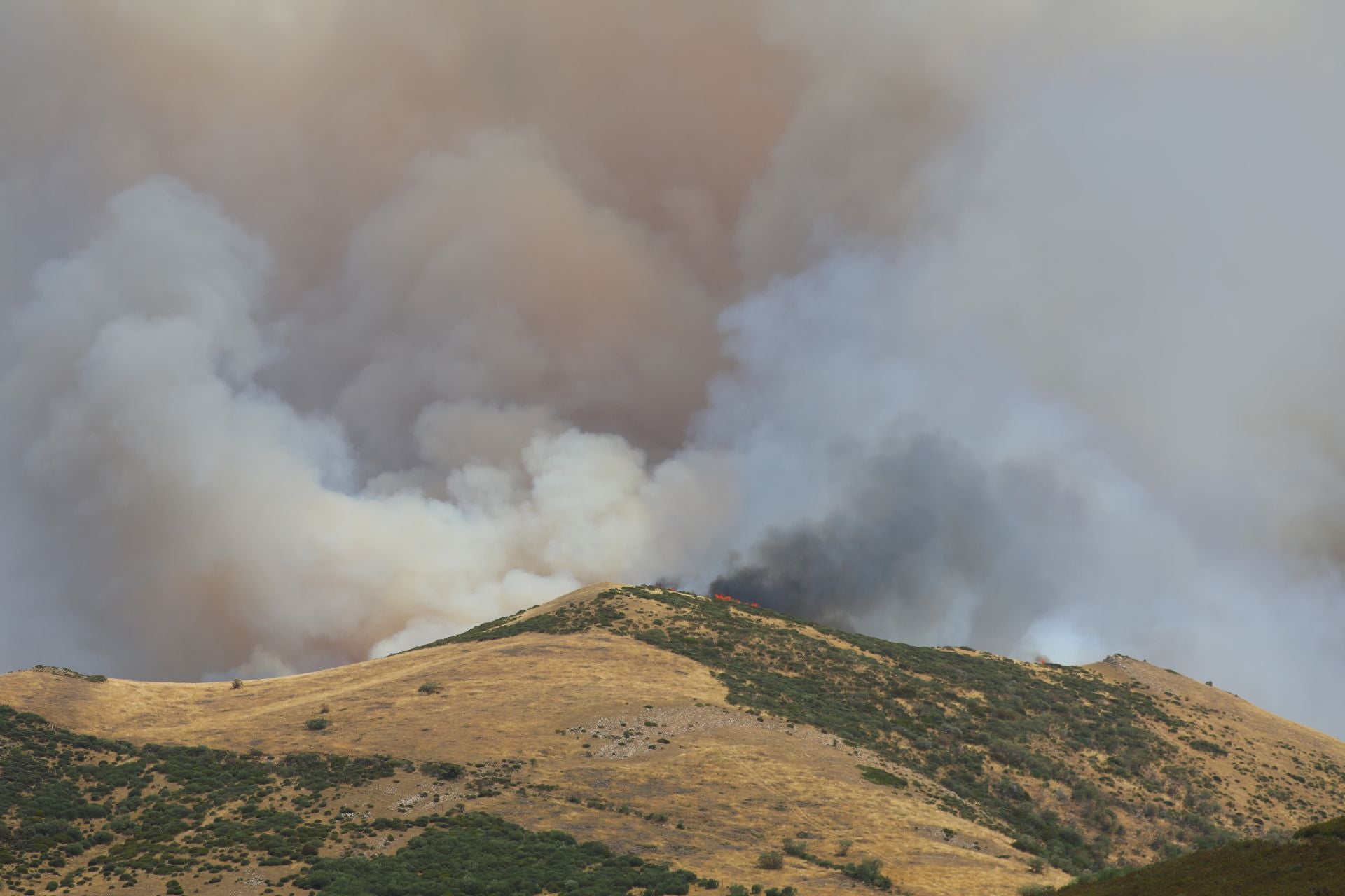 El fuego, de cerca en Peña Carazo, en la Montaña Palentina