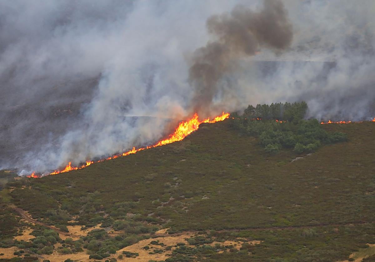 Incendio, cerca de Peña Carazo, en la Montaña Palentina.
