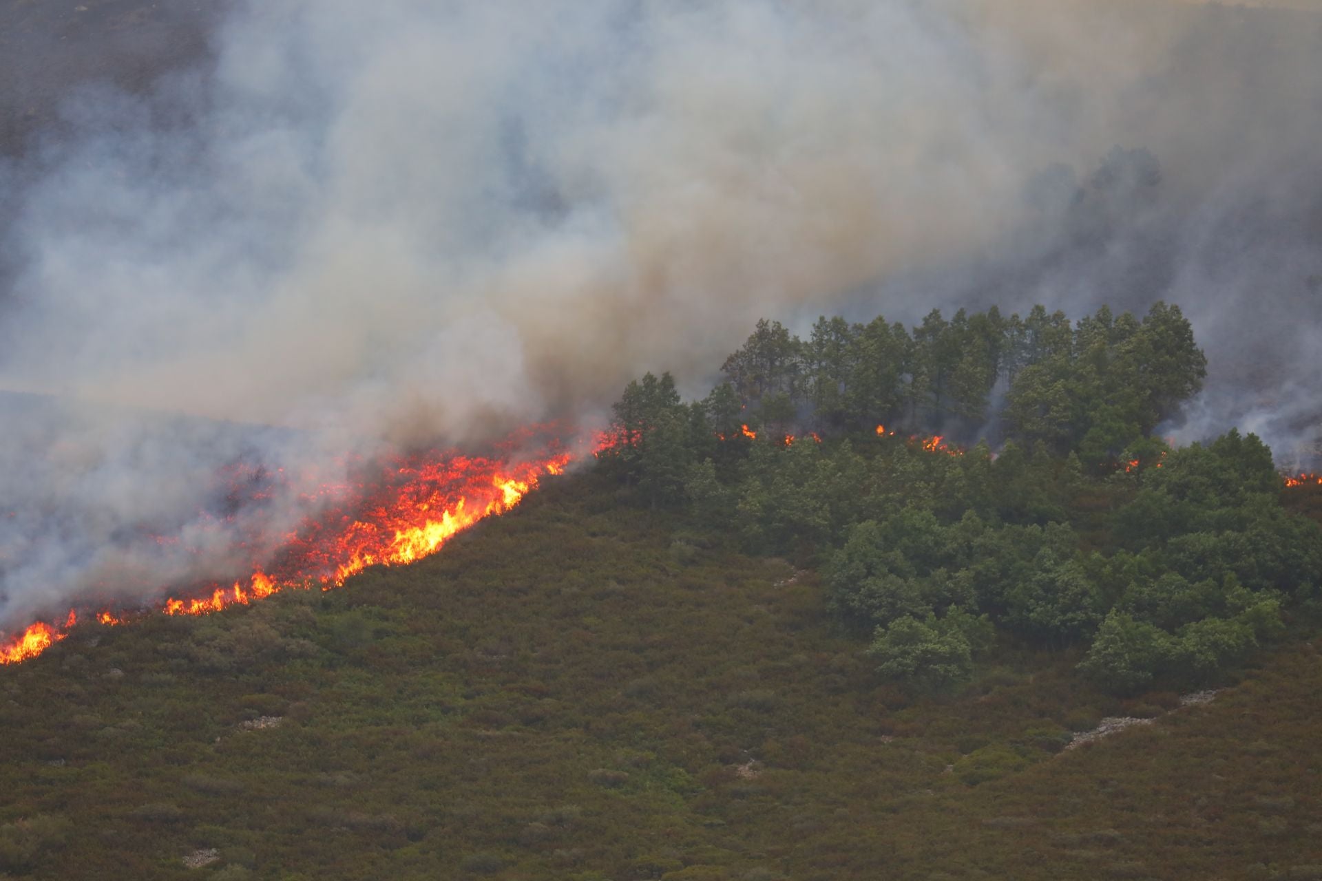 El fuego, de cerca en Peña Carazo, en la Montaña Palentina