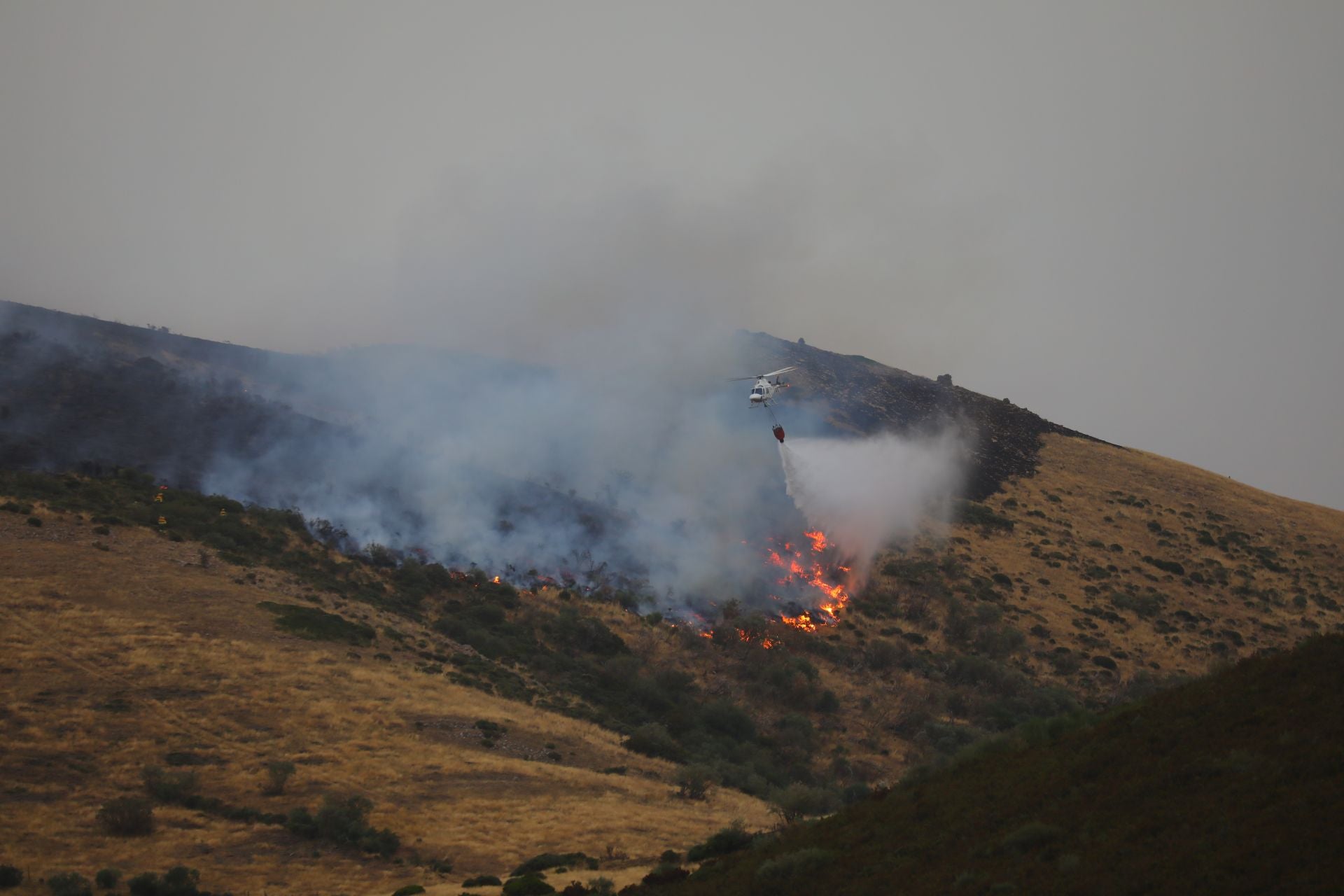 El fuego, de cerca en Peña Carazo, en la Montaña Palentina
