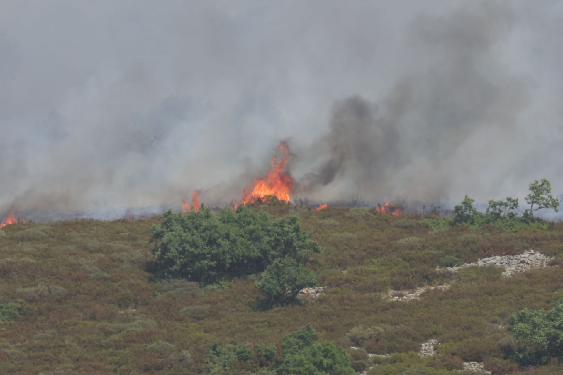 El fuego, de cerca en Peña Carazo, en la Montaña Palentina