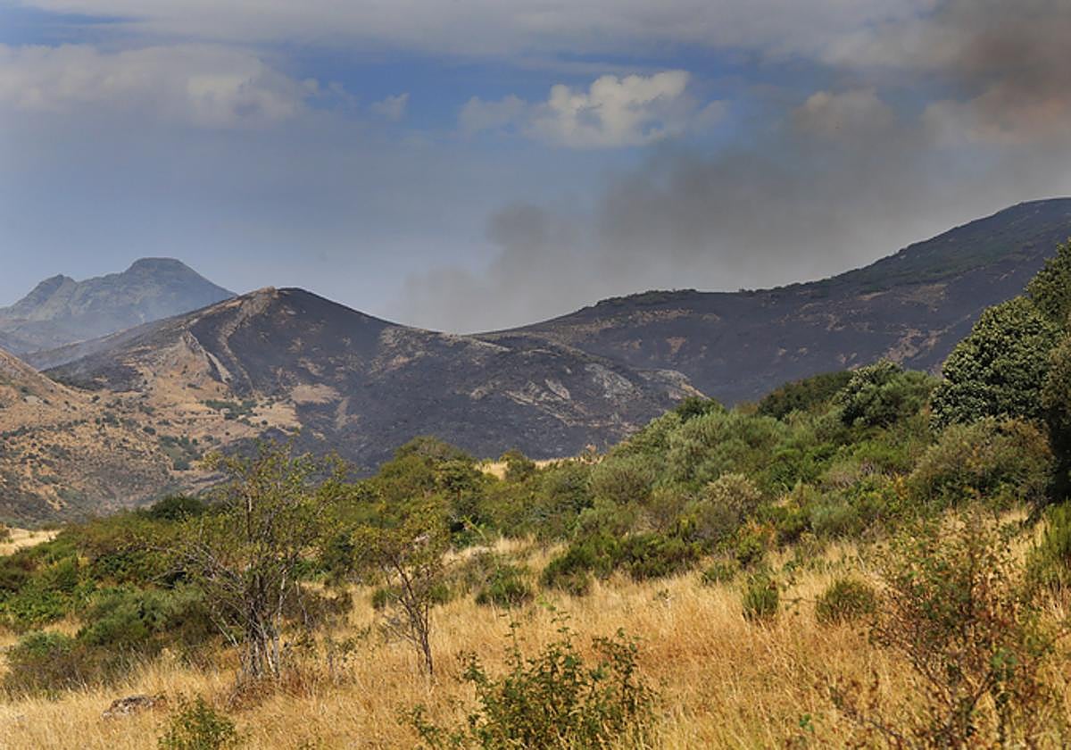 Las imágenes del incendio en la Montaña Palentina