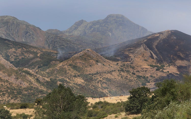 Las imágenes del incendio en la Montaña Palentina
