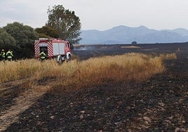 Incendio en tierras de cultivo en la zona de Villaoliva de la Peña.