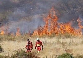 Las llamas avanzan en el término municipal de Abejera, en Zamora.
