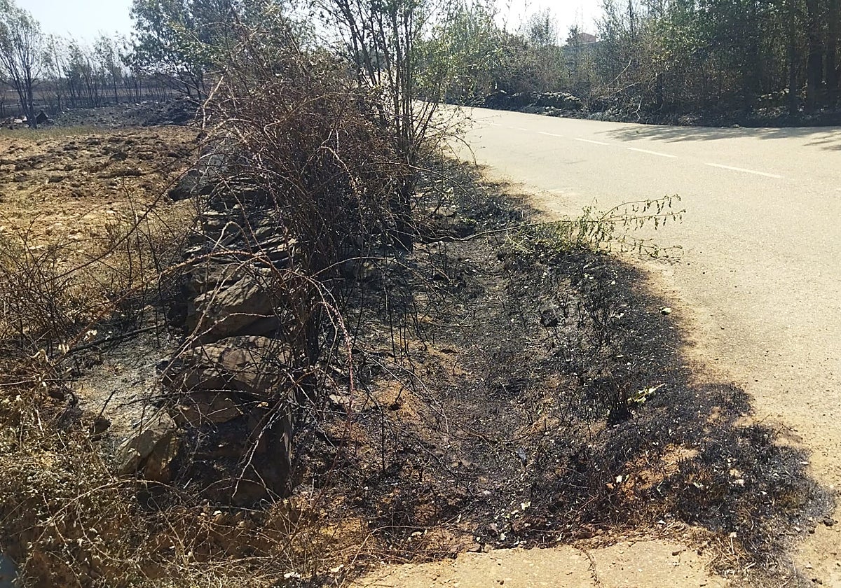 La cuneta donde cayó el coche en el que iban los heridos (y que fue retirado el pasado miércoles).