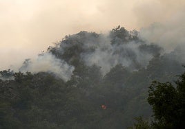 Incendio en Anllares del Sil (León).