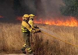 Bomberos continúan los trabajos de extinción para sofocar el incendio, a 10 de agosto de 2025, en Molezuelas de la Carballeda.