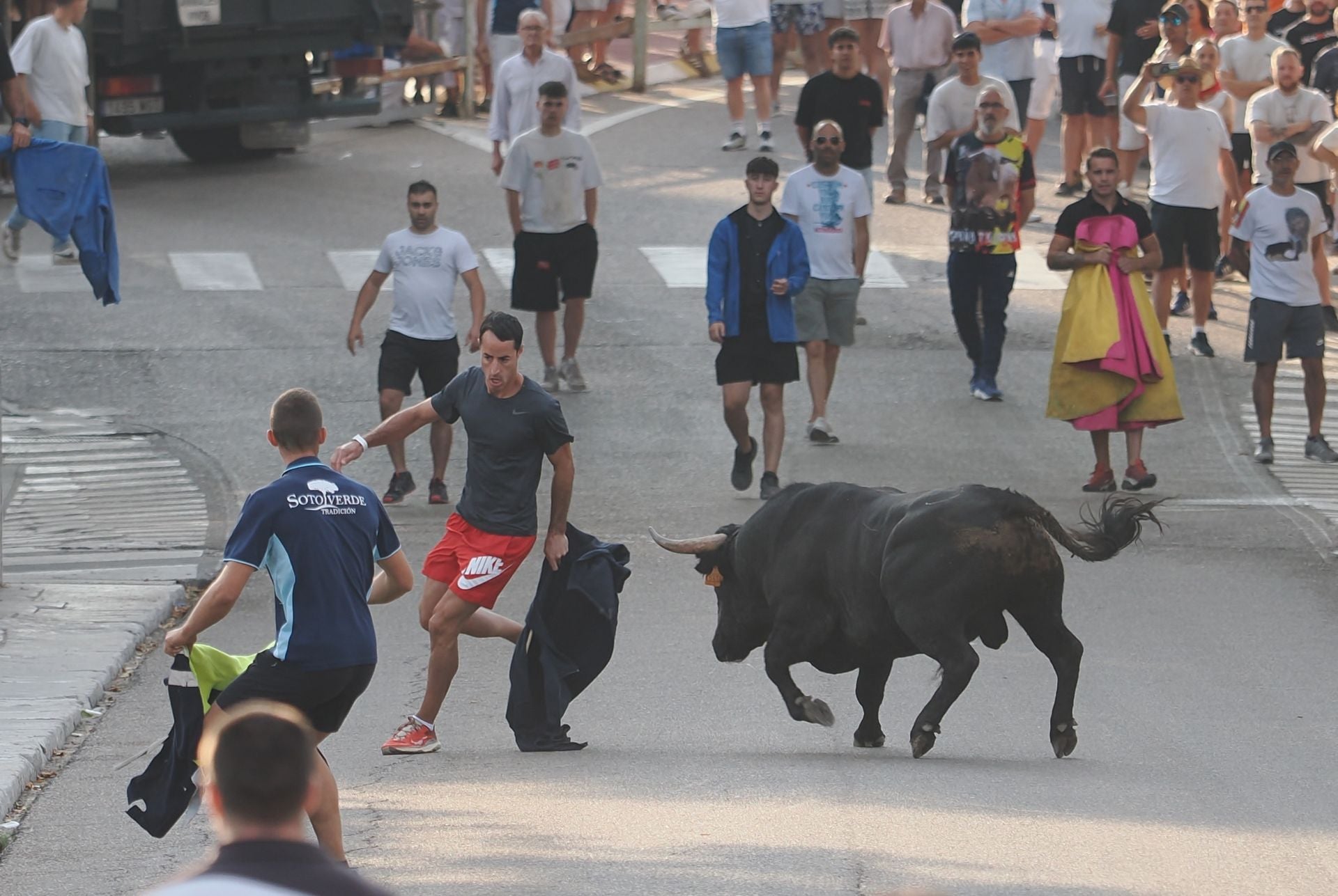Las imágenes del encierro de Tudela de Duero de este viernes