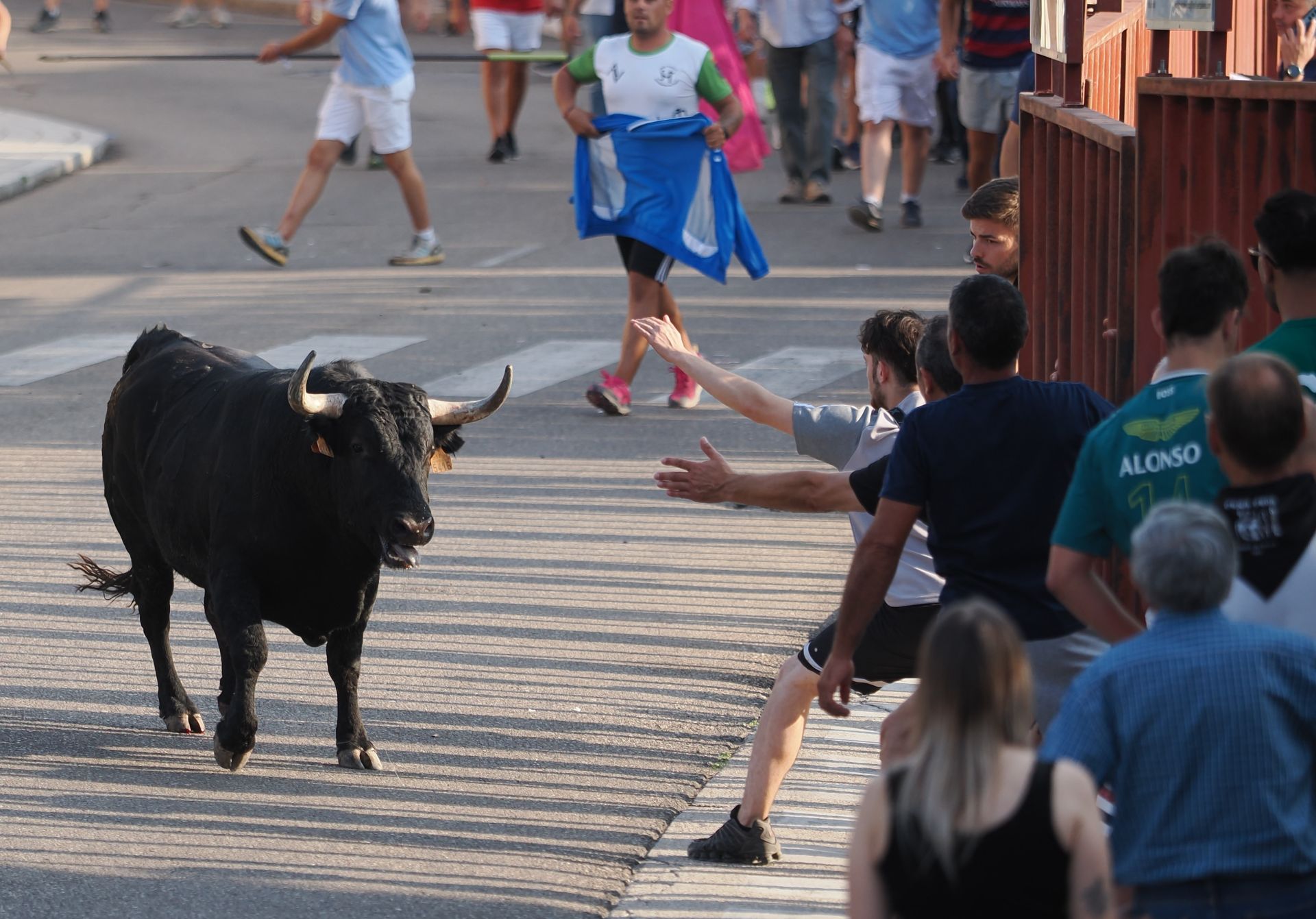Las imágenes del encierro de Tudela de Duero de este viernes