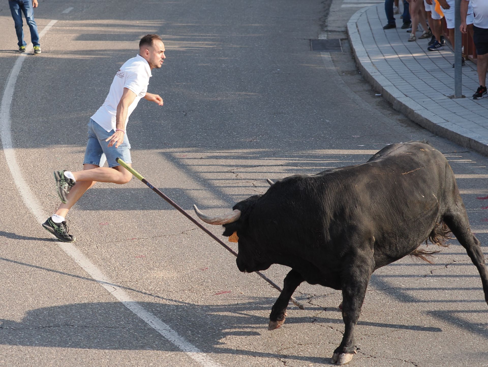 Las imágenes del encierro de Tudela de Duero de este viernes