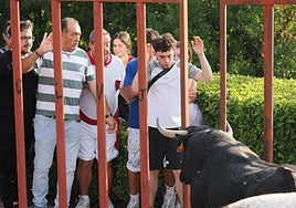 Un grupo de aficionados cita al astado desde las talanqueras.