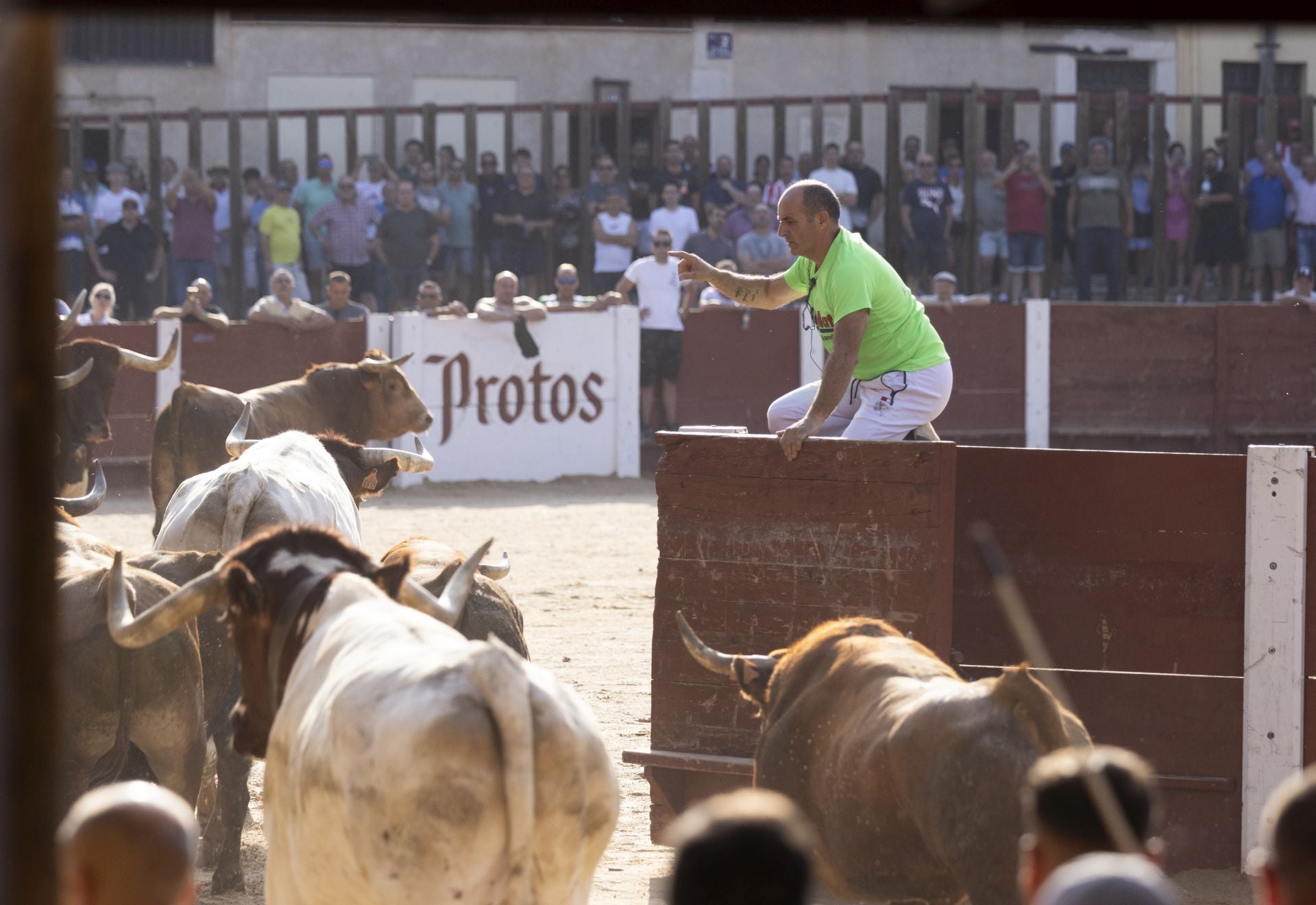 Las imágenes del encierro de Peñafiel de este viernes