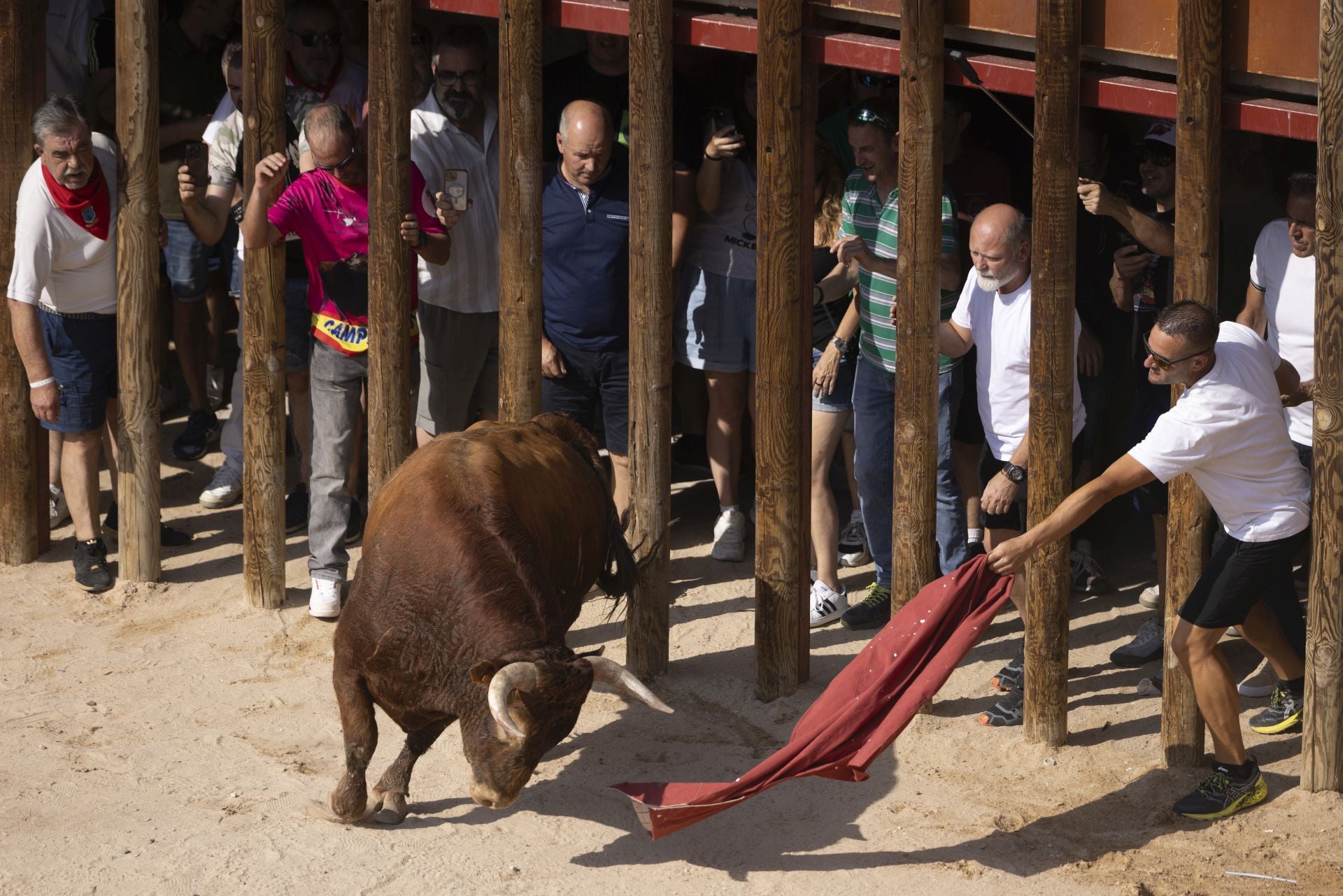 Las imágenes del encierro de Peñafiel de este viernes