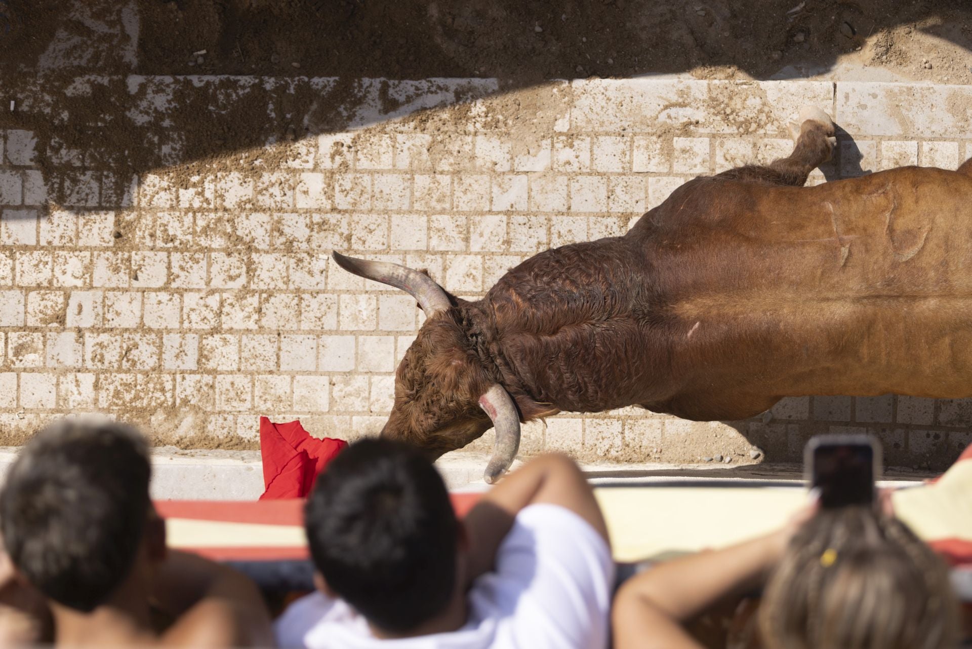 Las imágenes del encierro de Peñafiel de este viernes