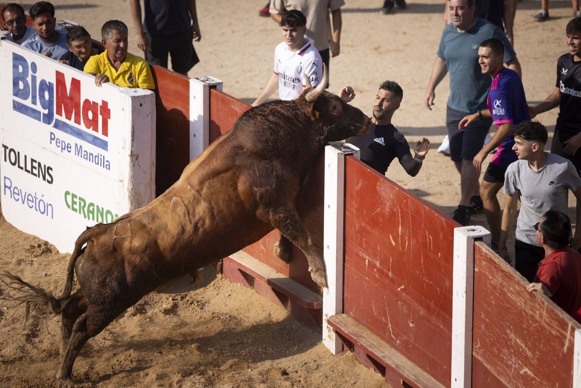 Las imágenes del encierro de Peñafiel de este viernes