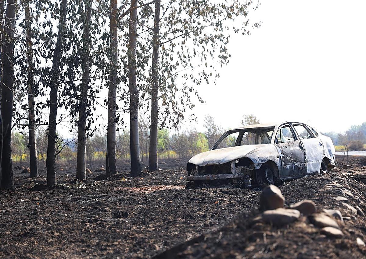 Imagen secundaria 1 - Varios de los efectos del incendio de Molezuelas en León