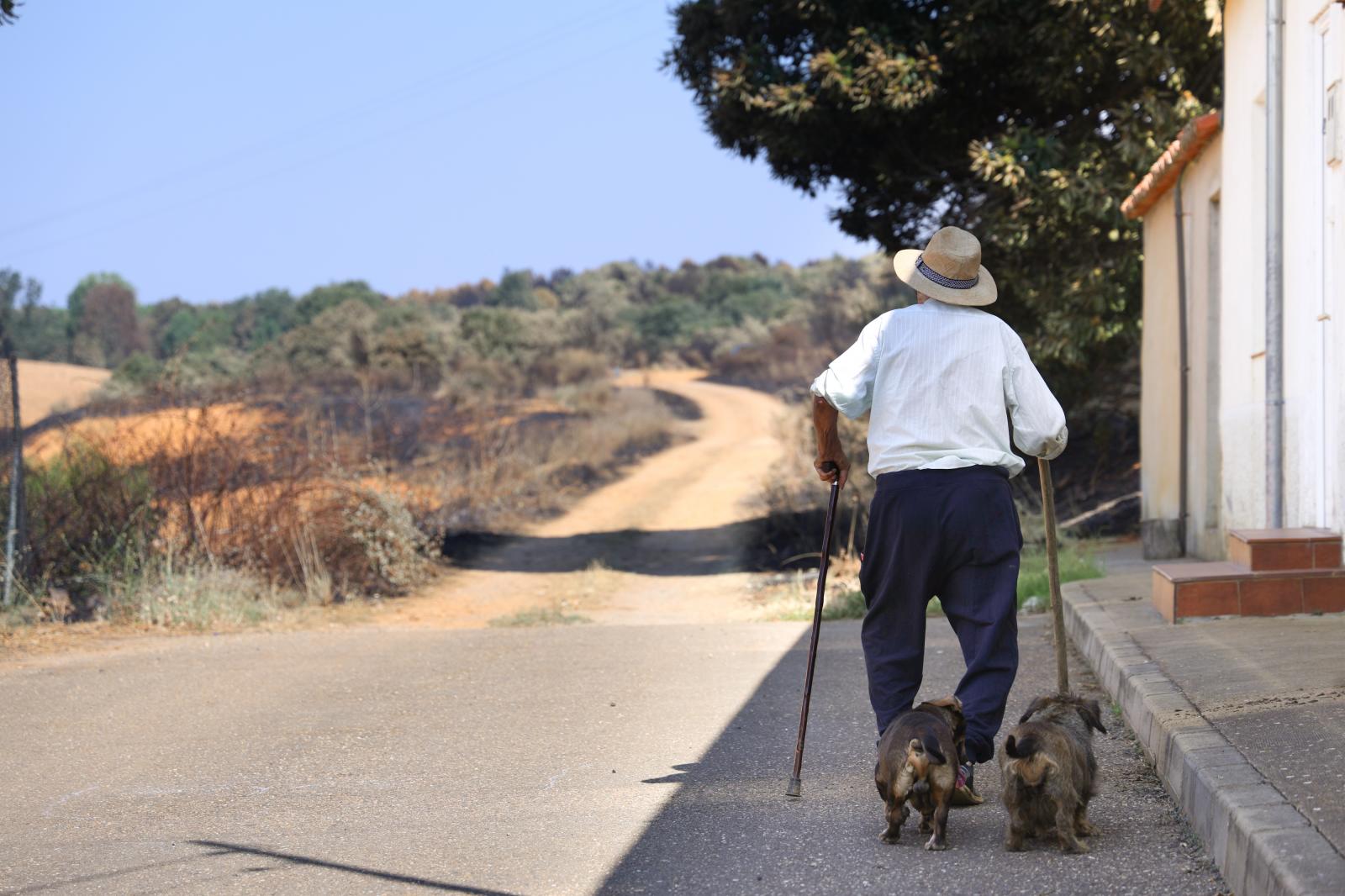 Un hombre pasea a sus perros por Palacios de Jamuz, que fue evacuado este martes.