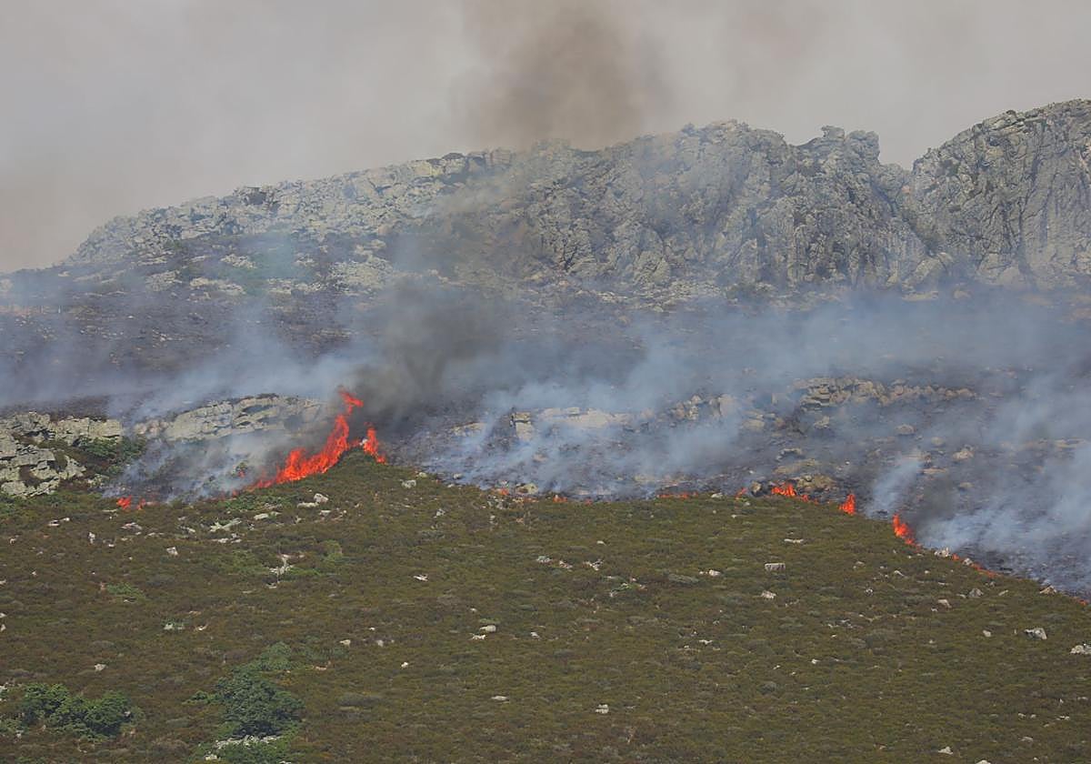 El fuego, el martes en la zona de Peña Carazo, en la Montaña Palentina.