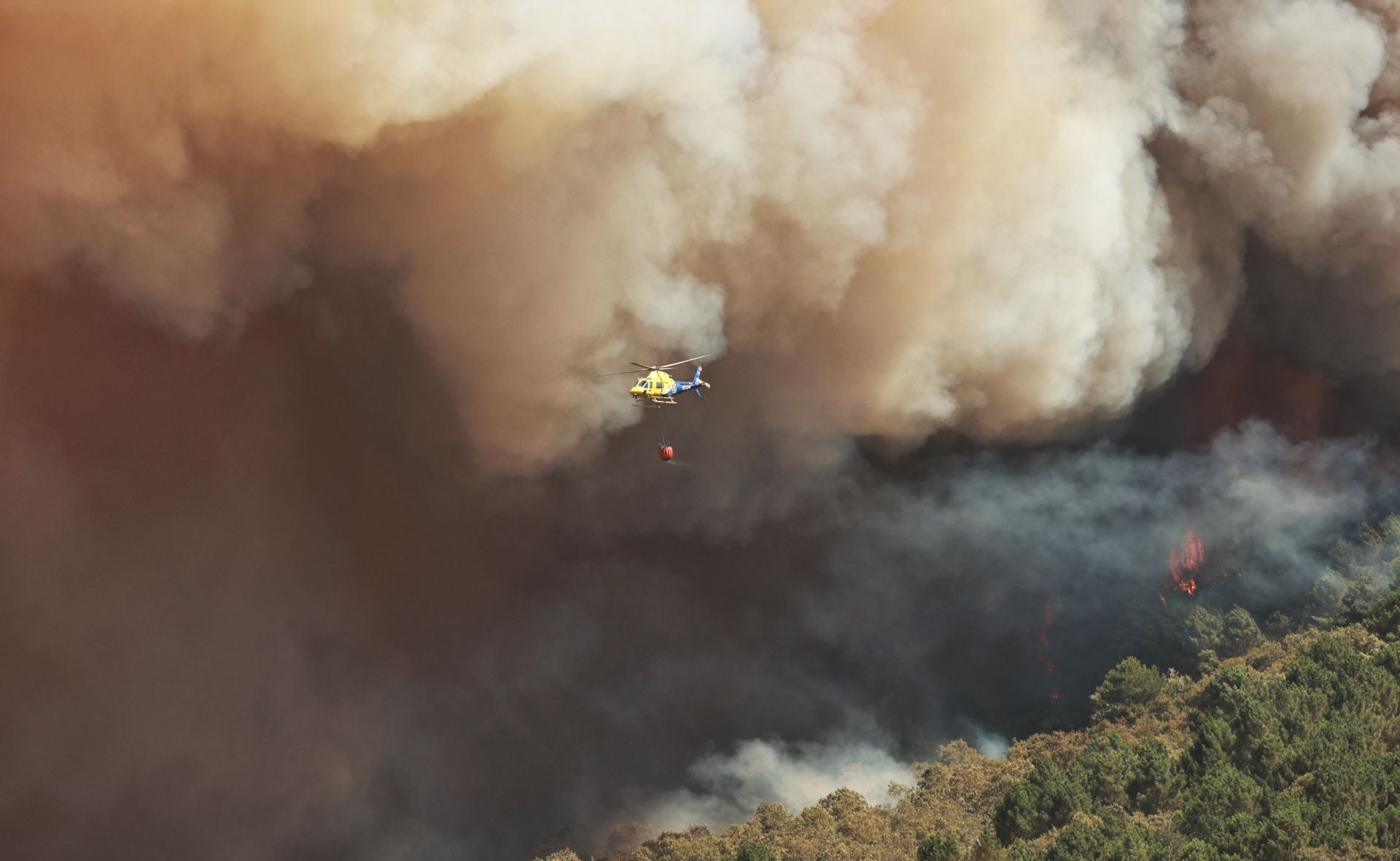 Incendio de nivel 2 en la localidad salmatina de El Payo