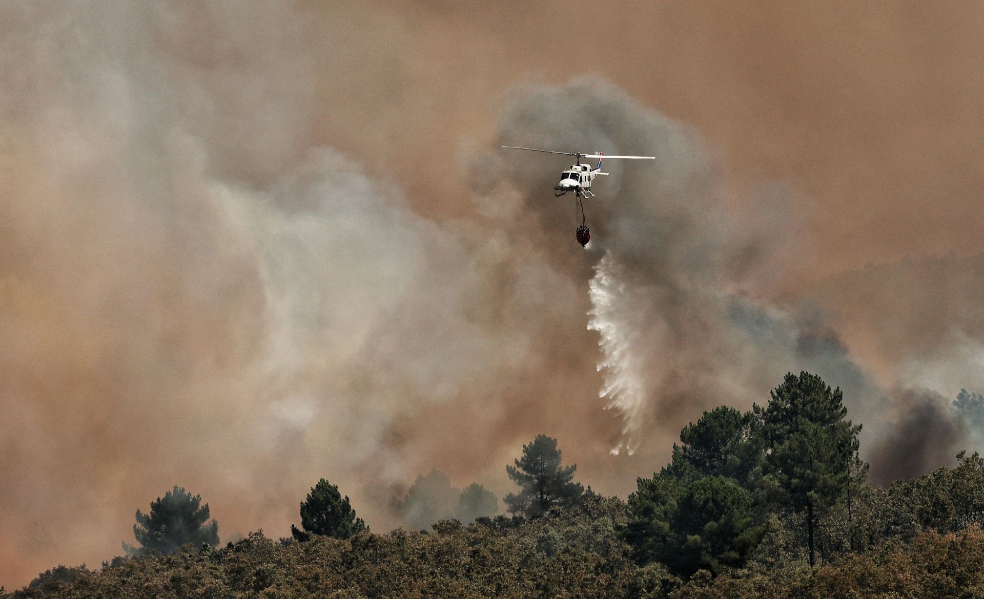 Incendio de nivel 2 en la localidad salmatina de El Payo