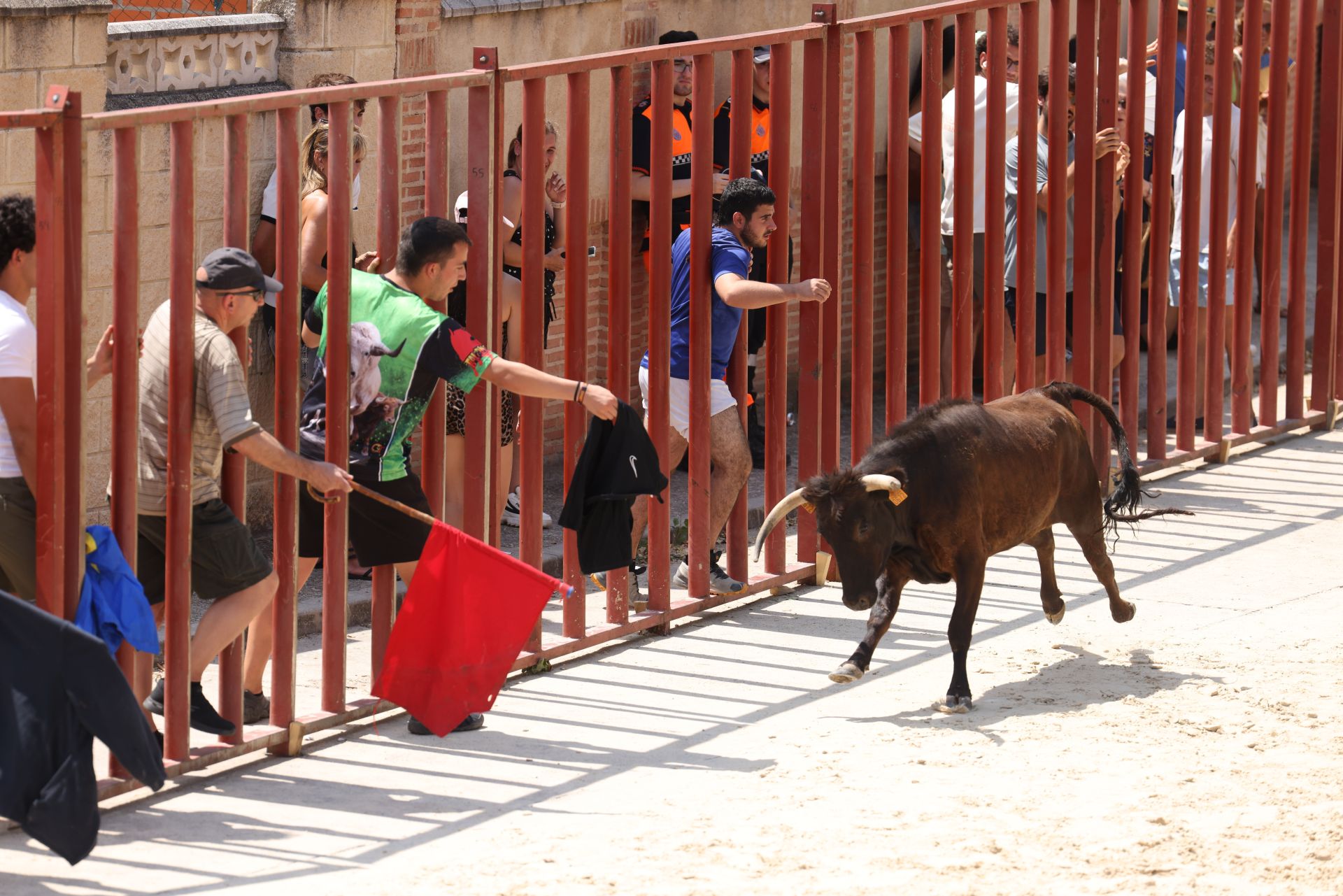 Encierro del viernes en Viana de Cega
