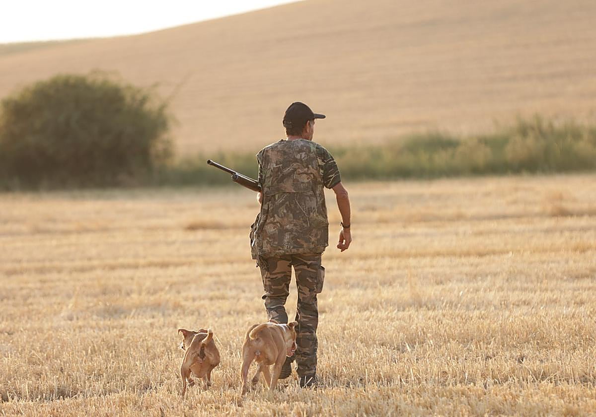 Primera jornada de la media veda de caza.
