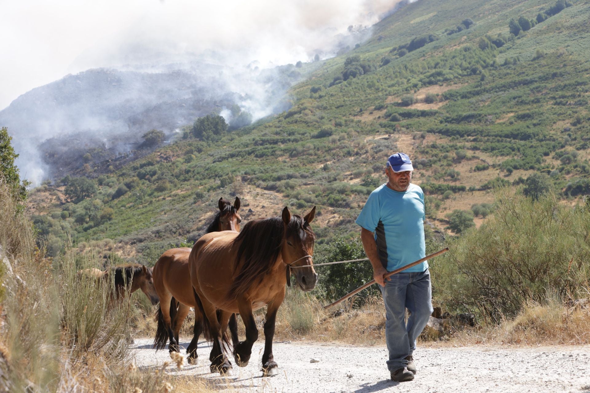Incendio en Porto de Sanabria, Zamora