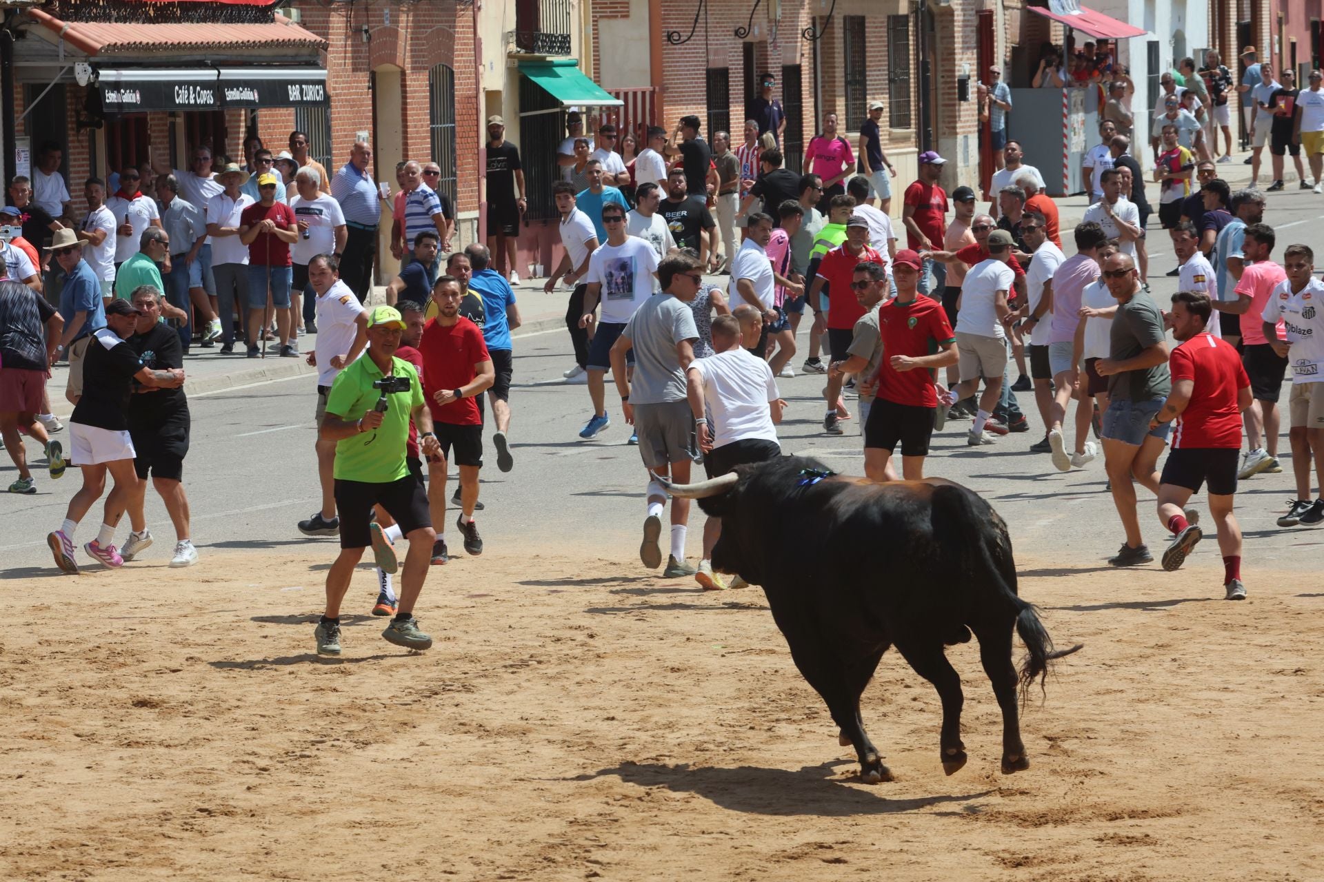 Toro del Verdejo en Rueda