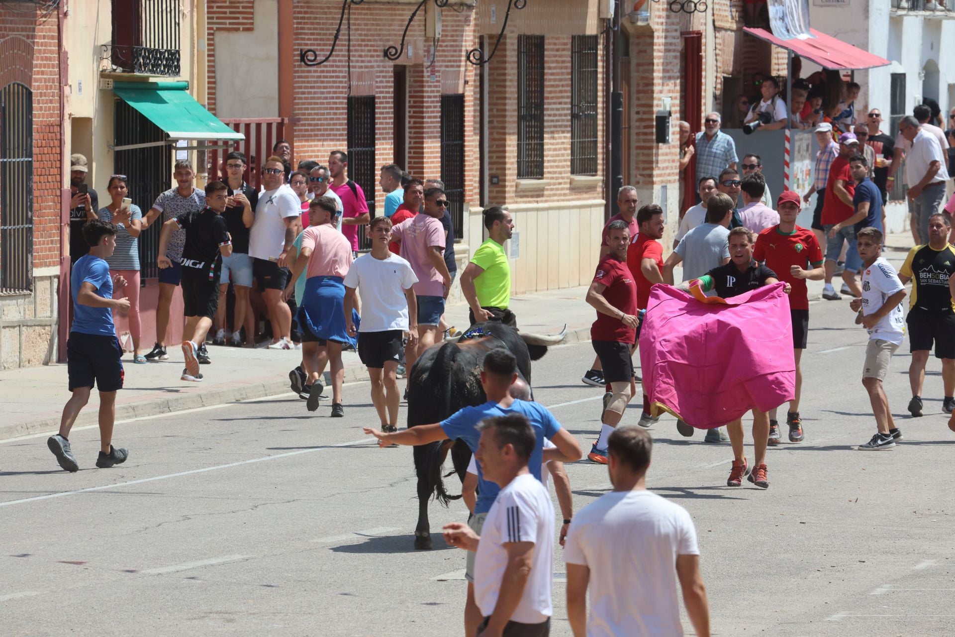 Toro del Verdejo en Rueda