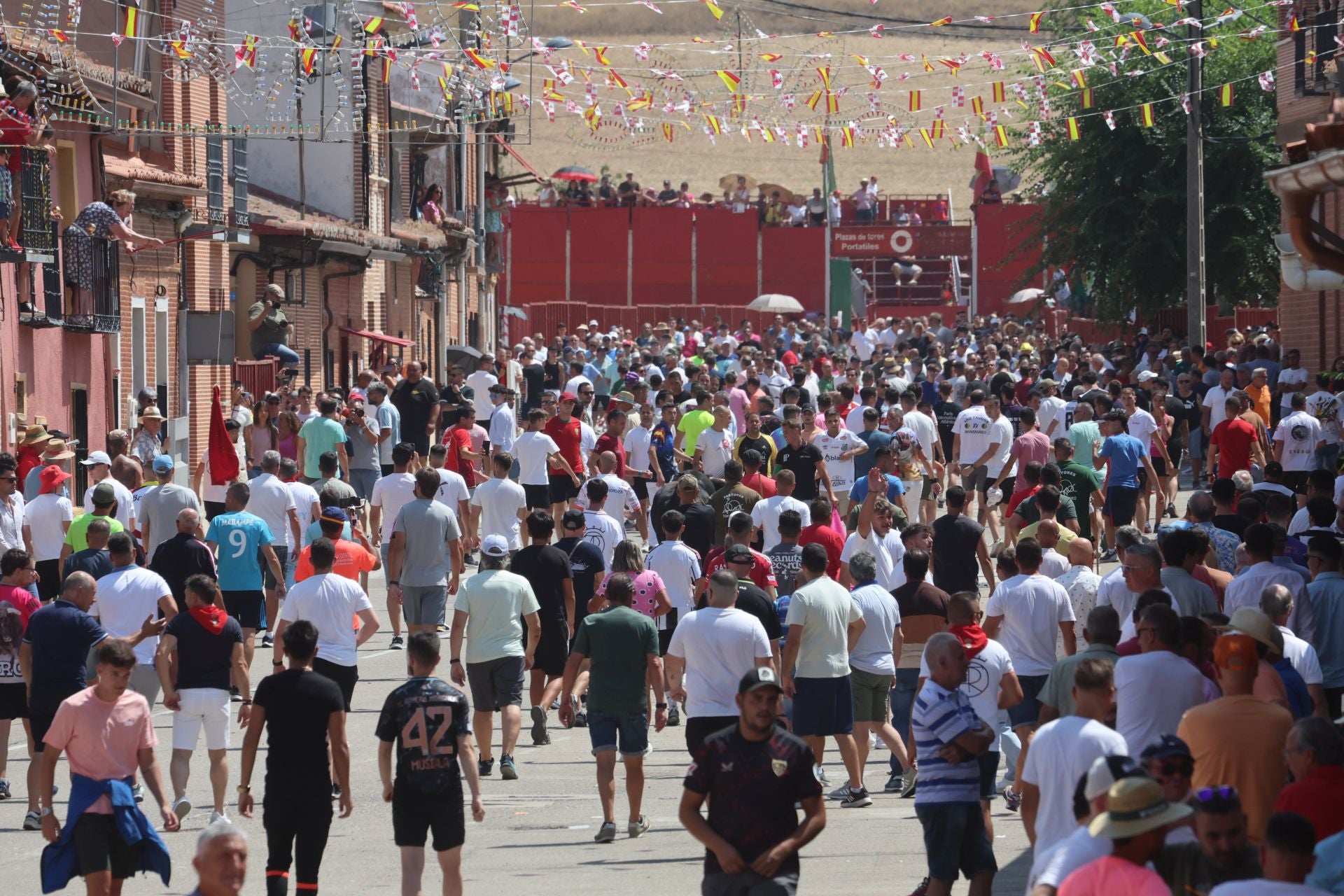 Toro del Verdejo en Rueda