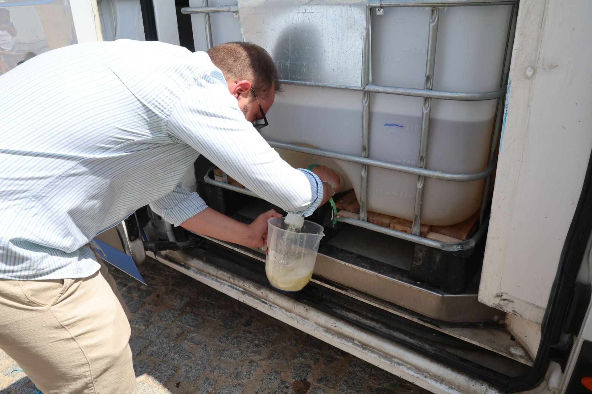 Toro del Verdejo en Rueda