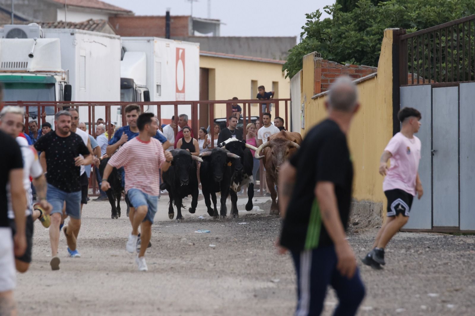 El encierro de Pollos, en imágenes