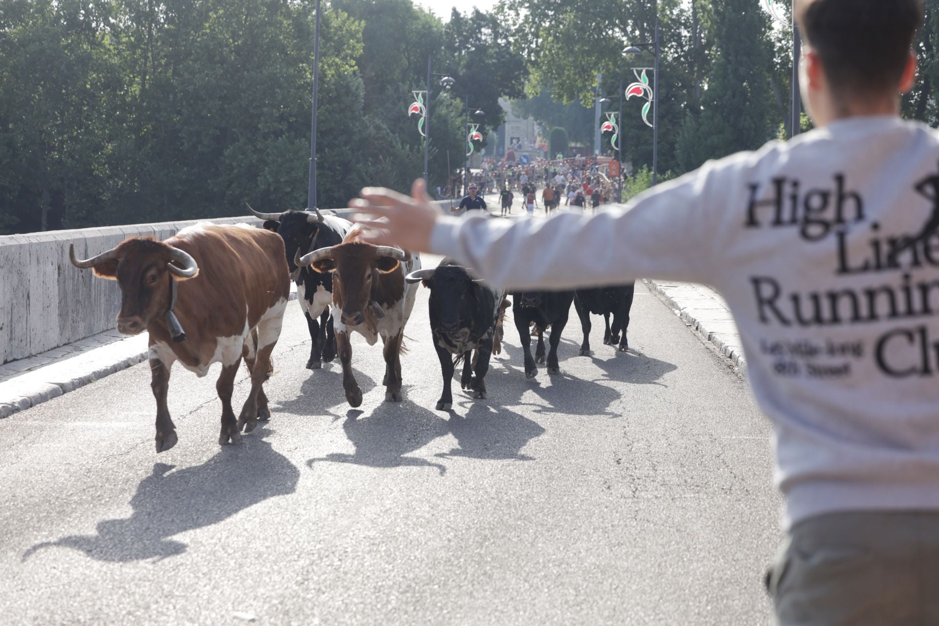 Las imágenes del encierro de Tudela de Duero de este sábado