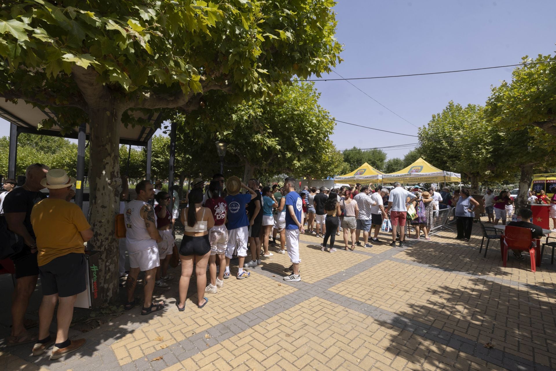 La paellada de Tudela, en imágenes