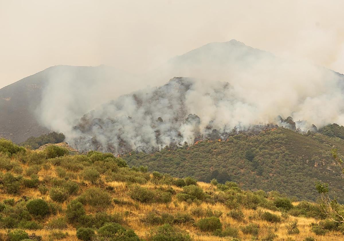 Imagen principal - Labores de extinción en el foco de La Uña, con los helicópteros descargando con agua que han recogido en Riaño.