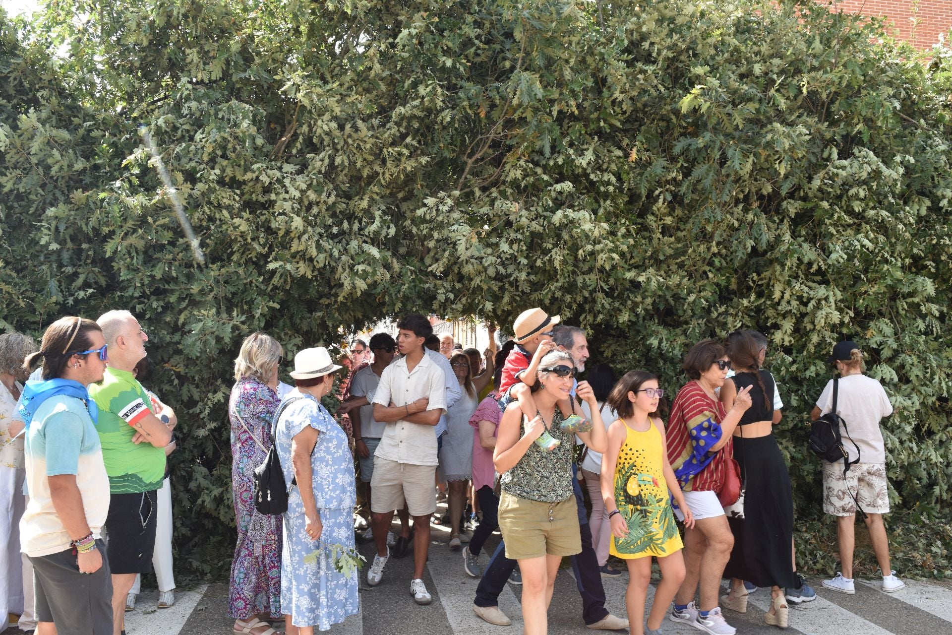 Fiestas de San Roque en Cervera de Pisuerga